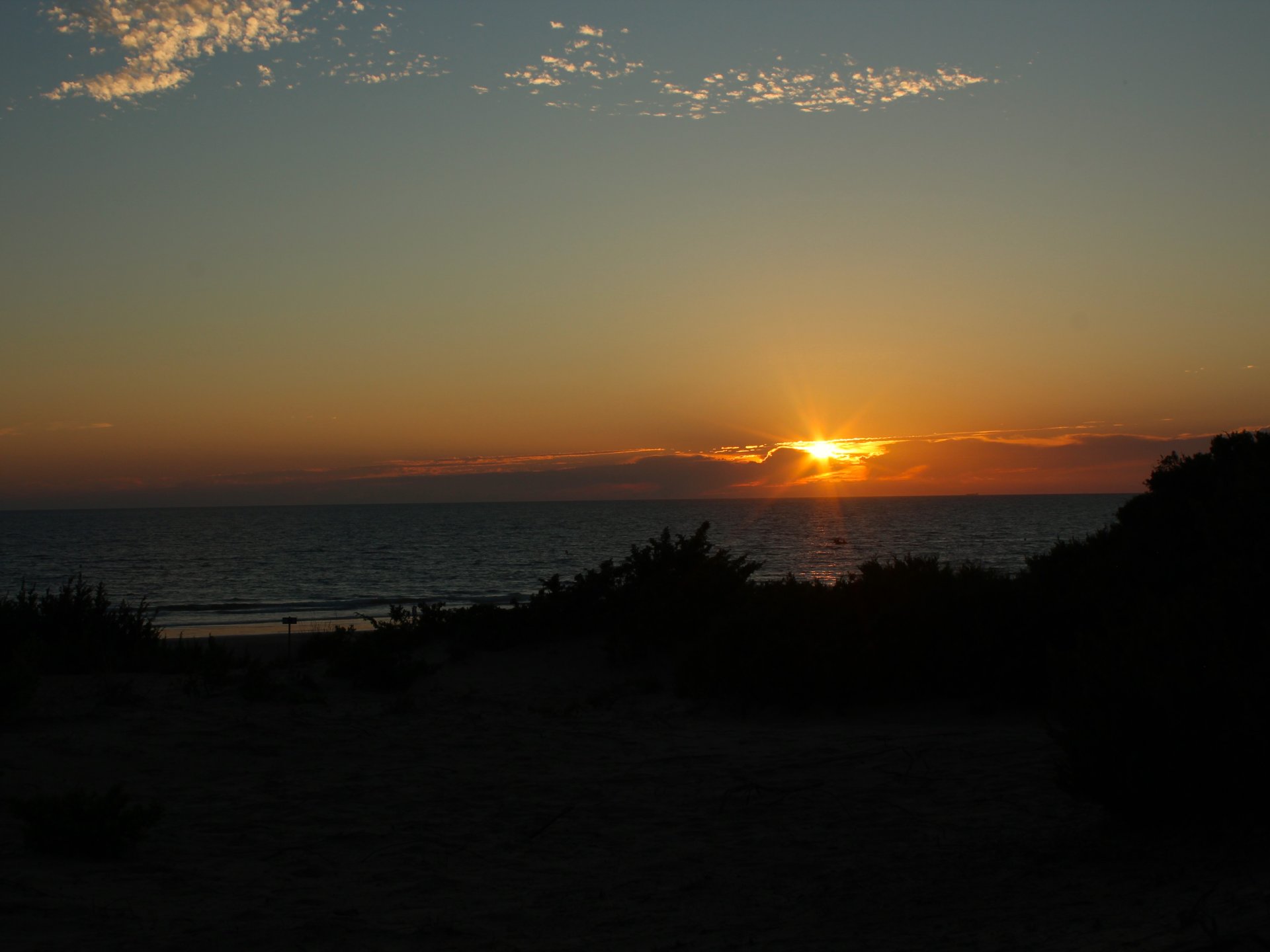 IMG_2560.JPG