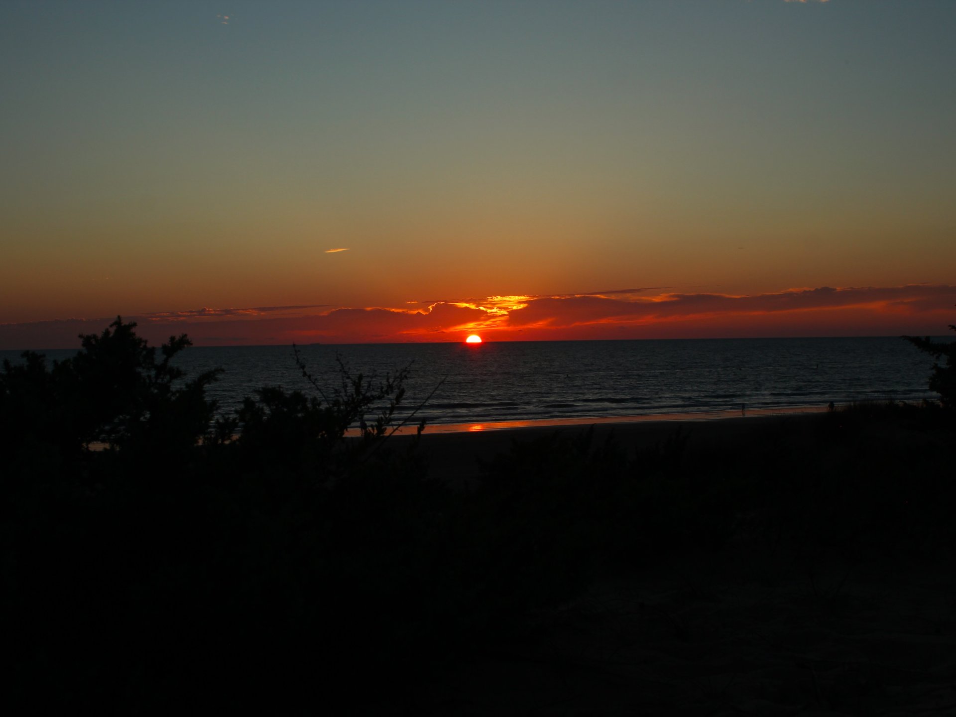 IMG_2571.JPG