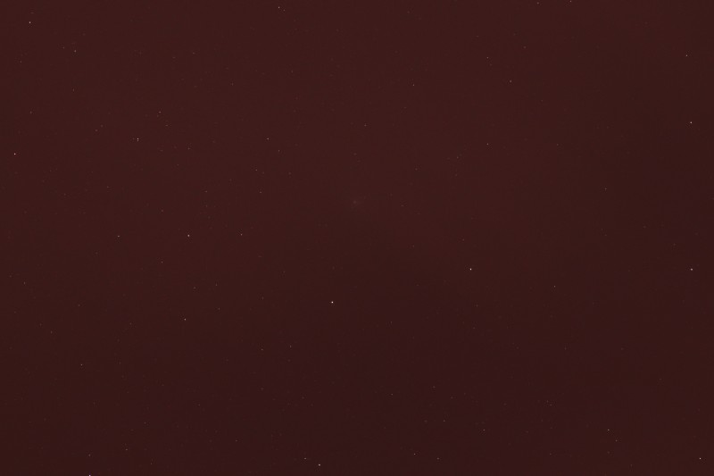 IMG_3222_800.jpg