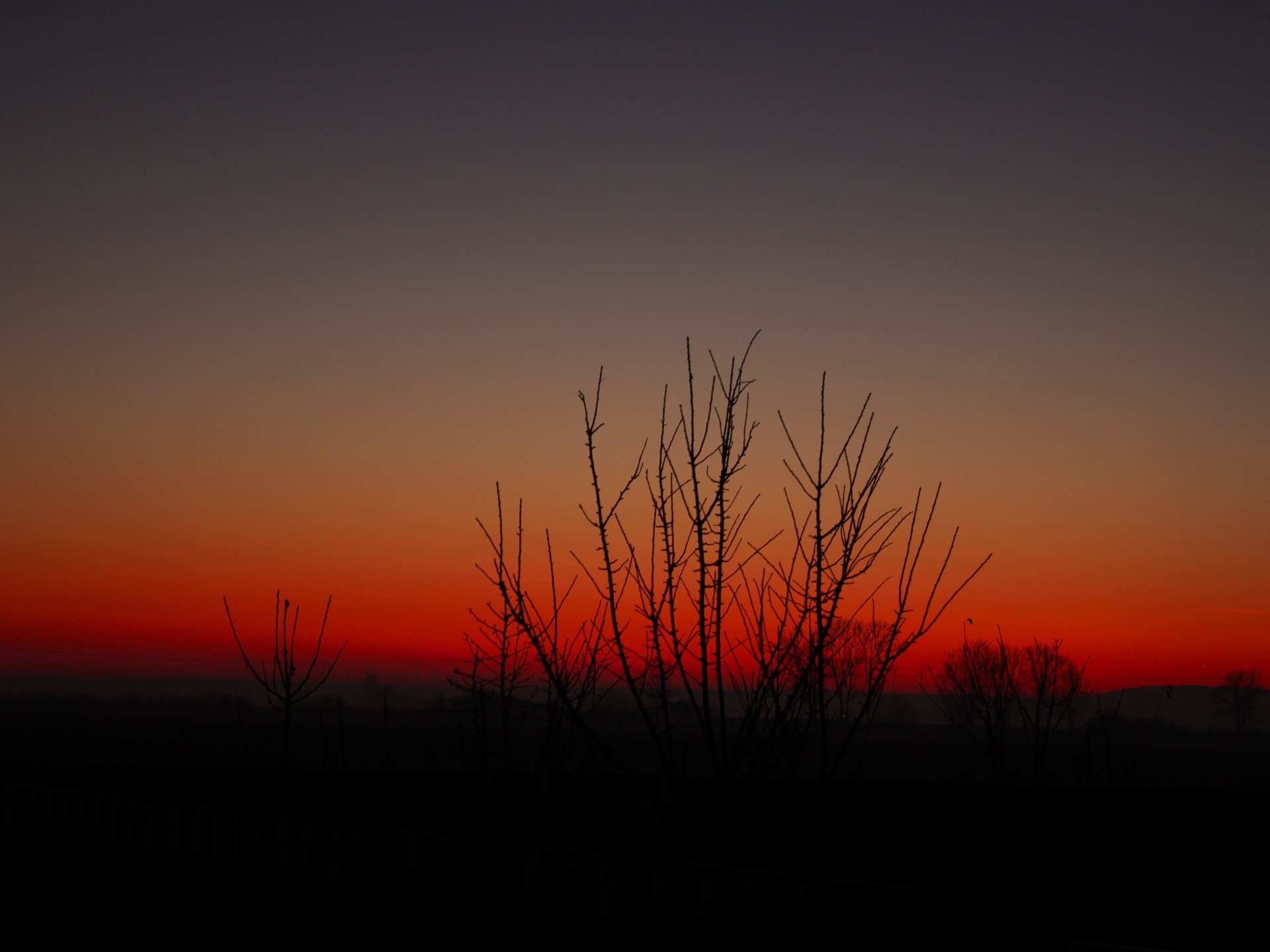 IMG_3429.JPG
