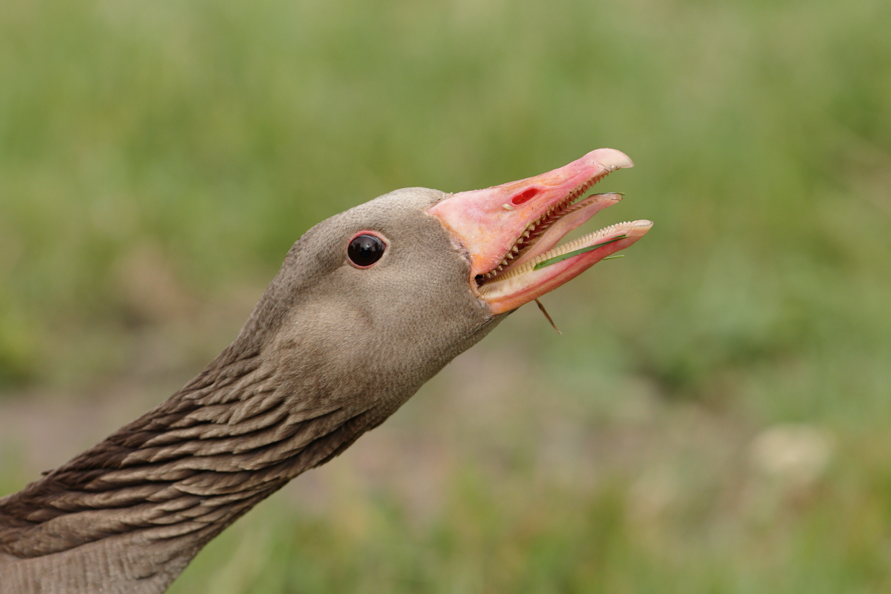 IMG_3466aw.png