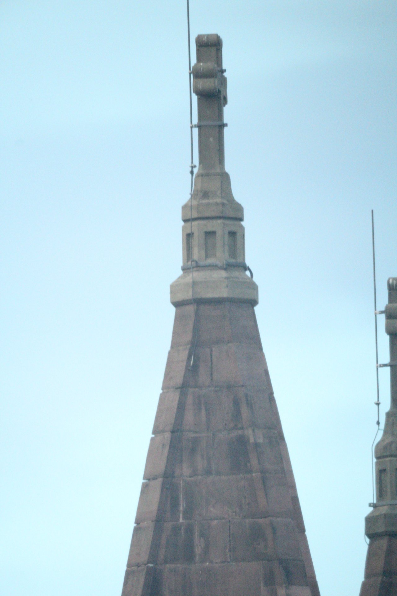 IMG_3673.jpg