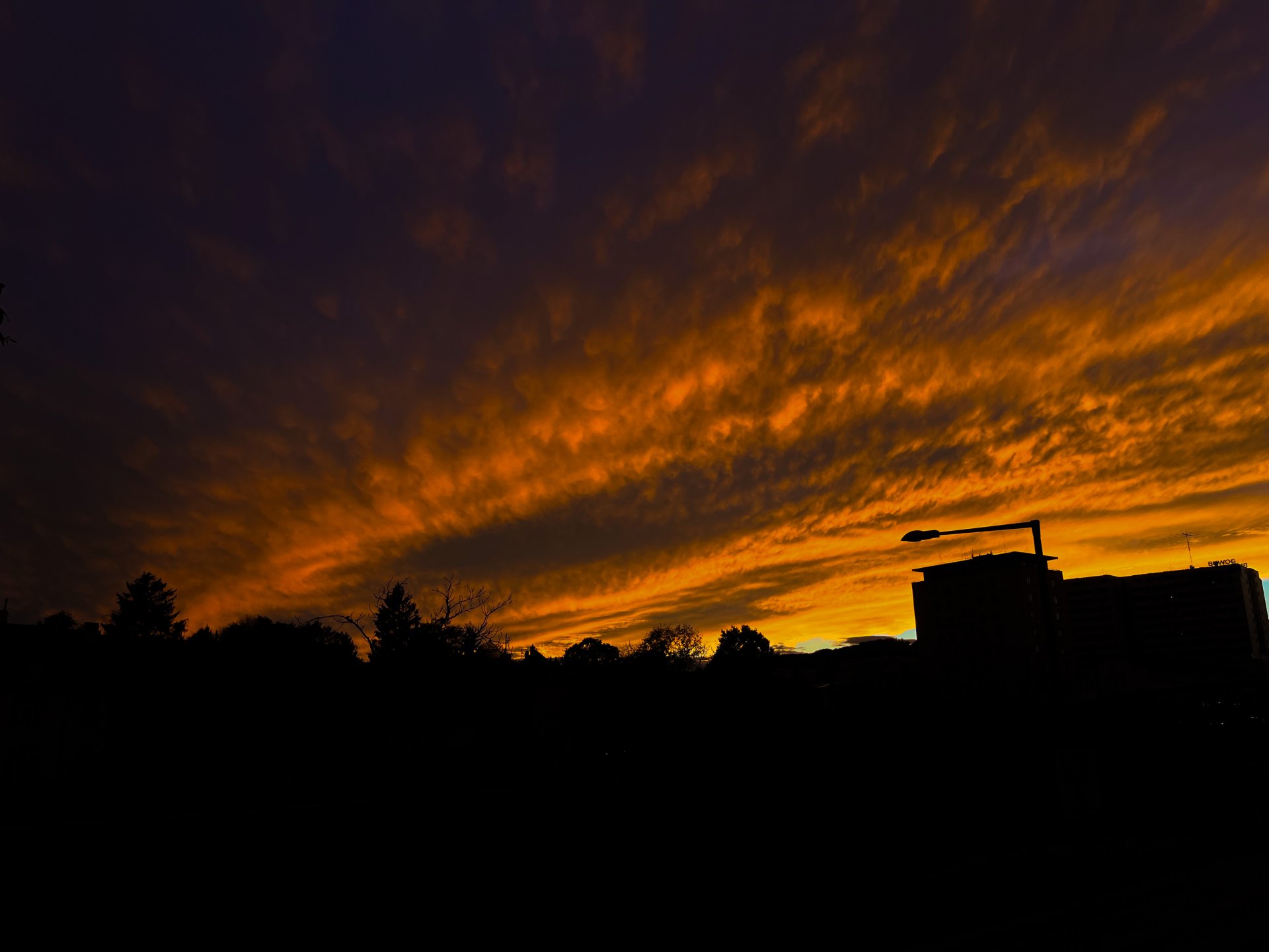 IMG_4231_ps.jpg