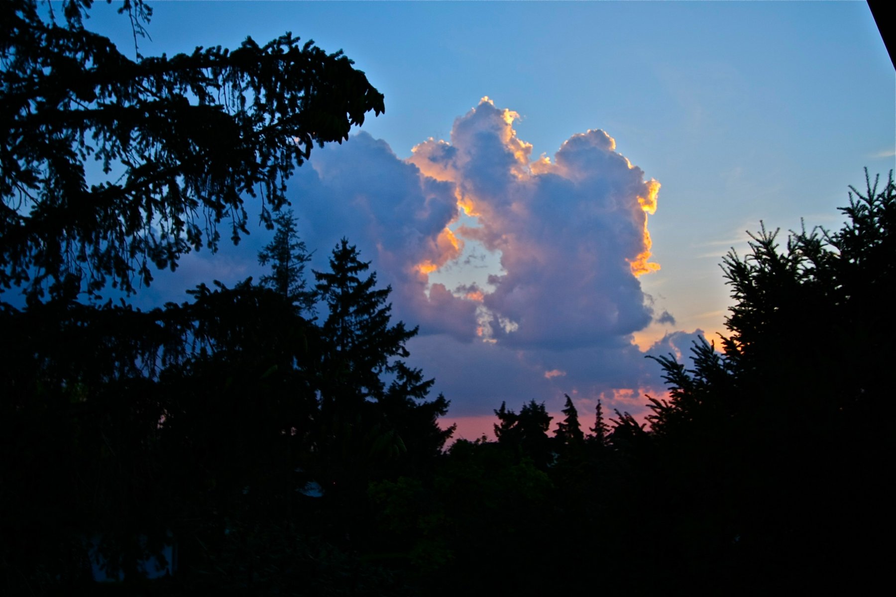 IMG_4976.JPG