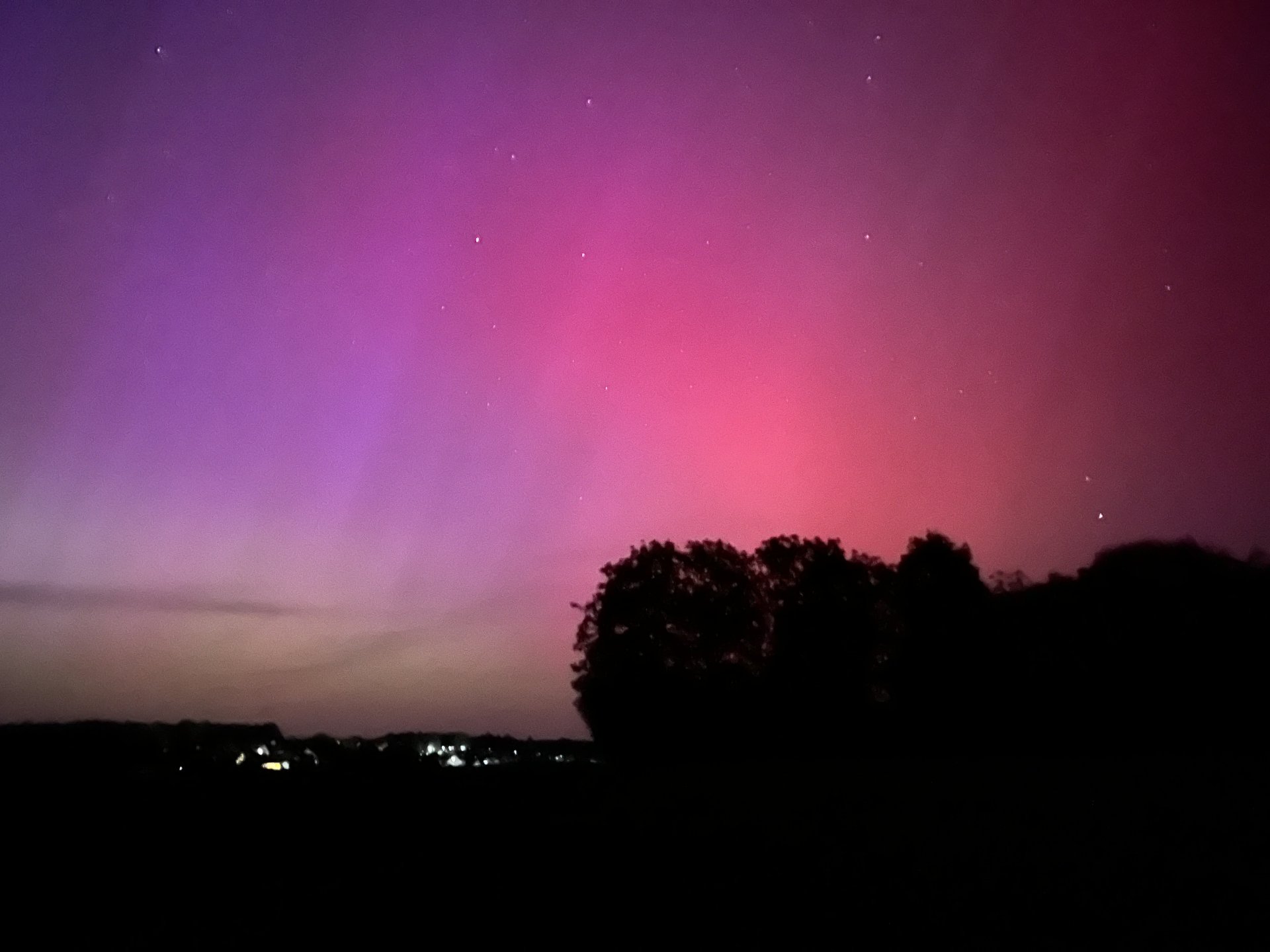 IMG_5540.jpeg