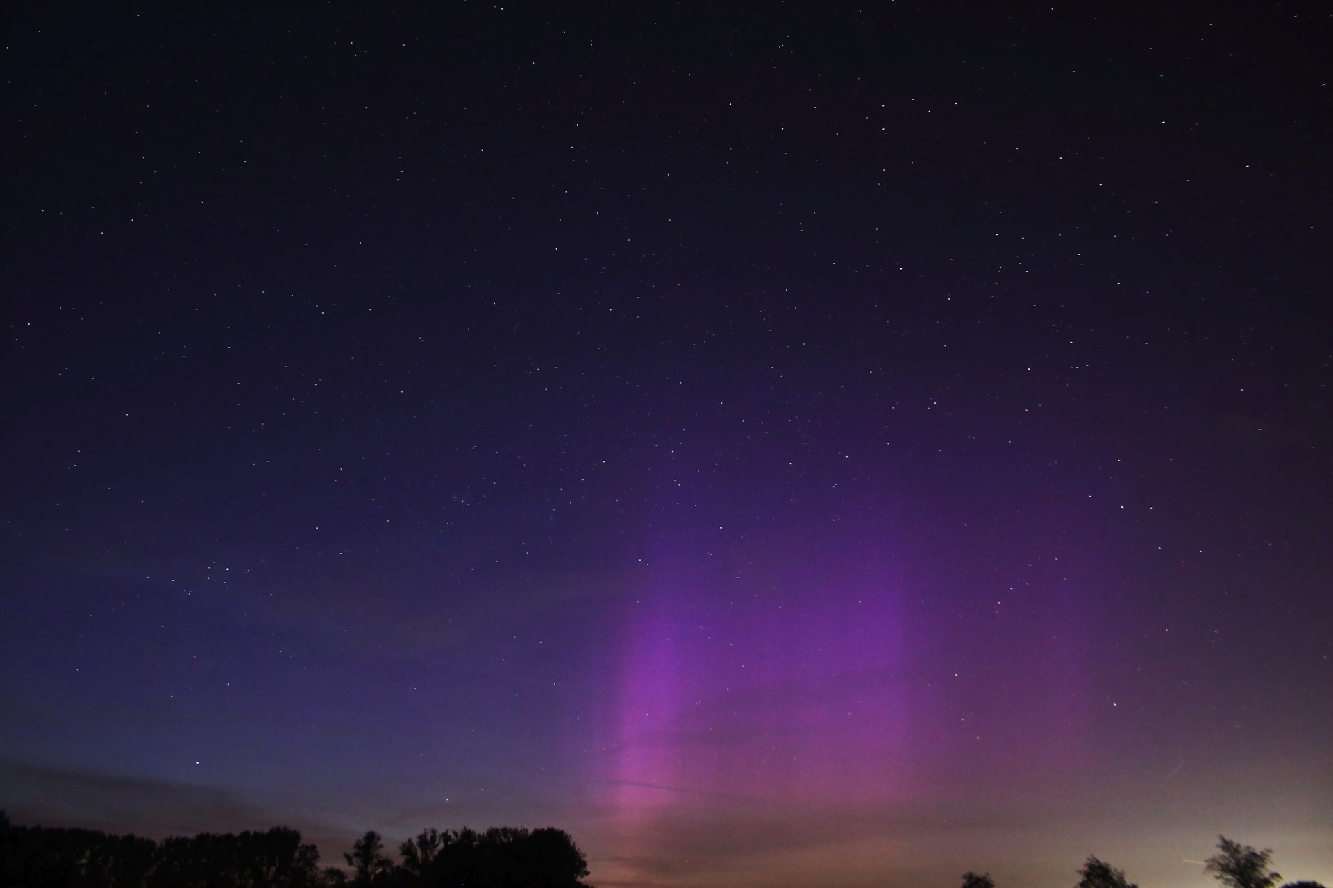 IMG_5623 gal.jpg