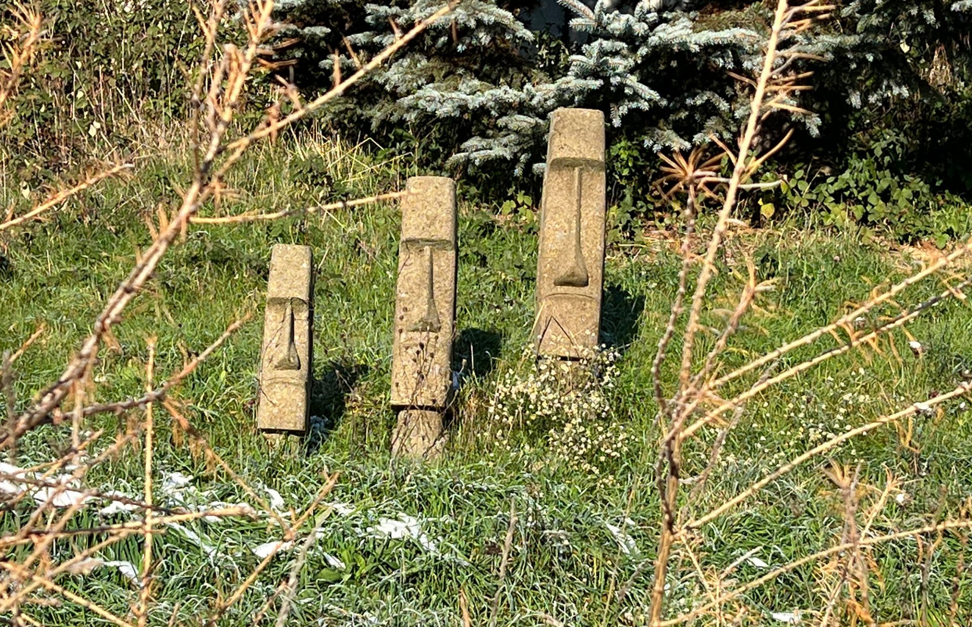 IMG_5740.jpeg