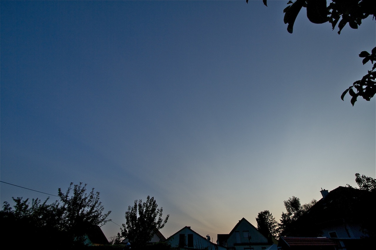 IMG_6400.jpg