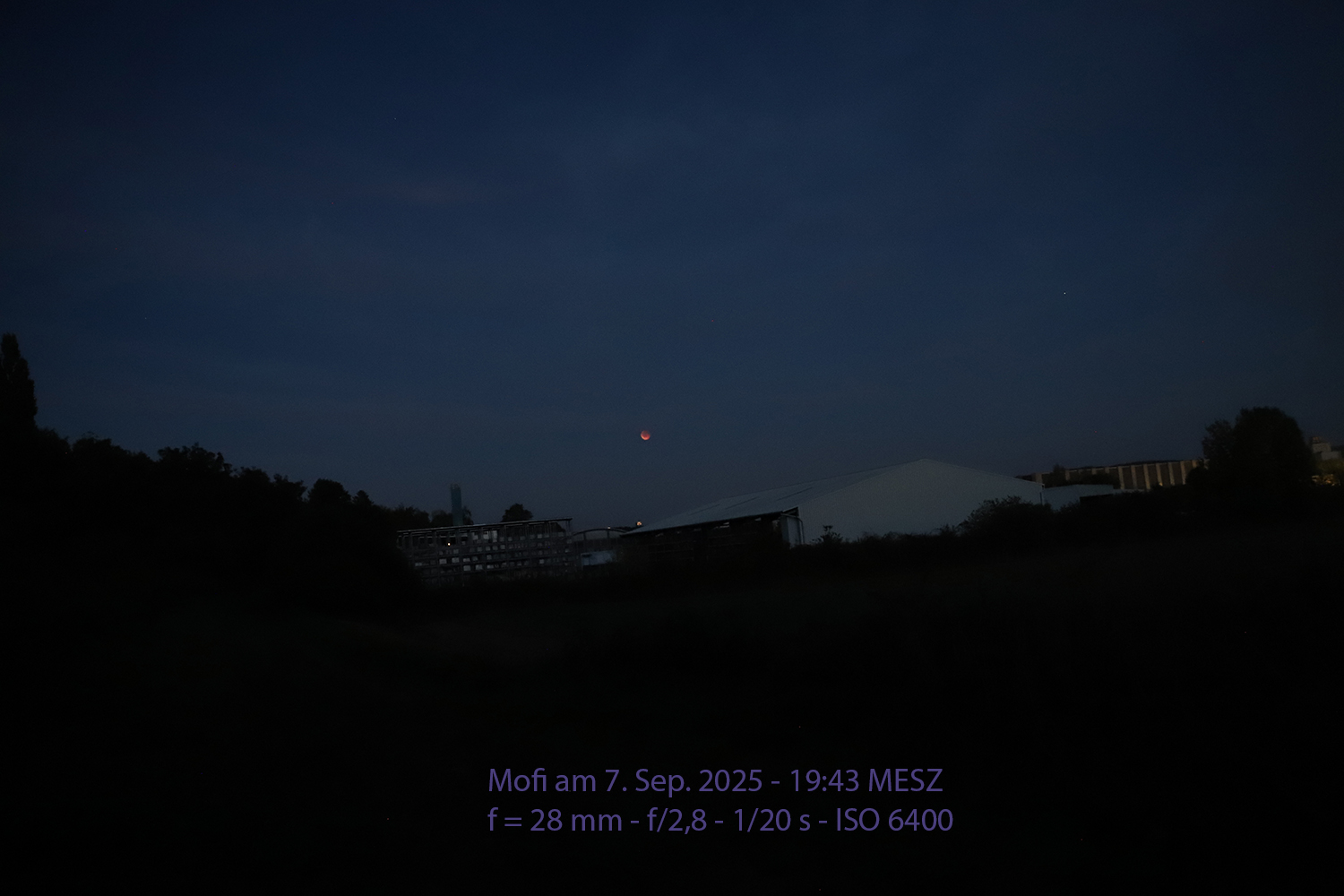 IMG_7686_annotated.jpg