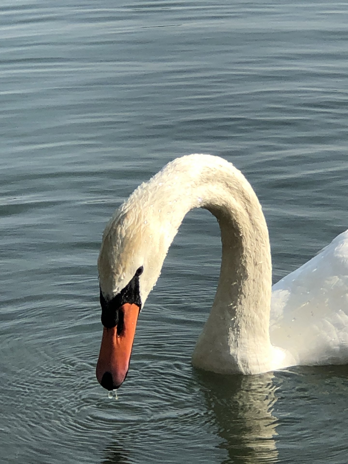 IMG_8573.jpeg