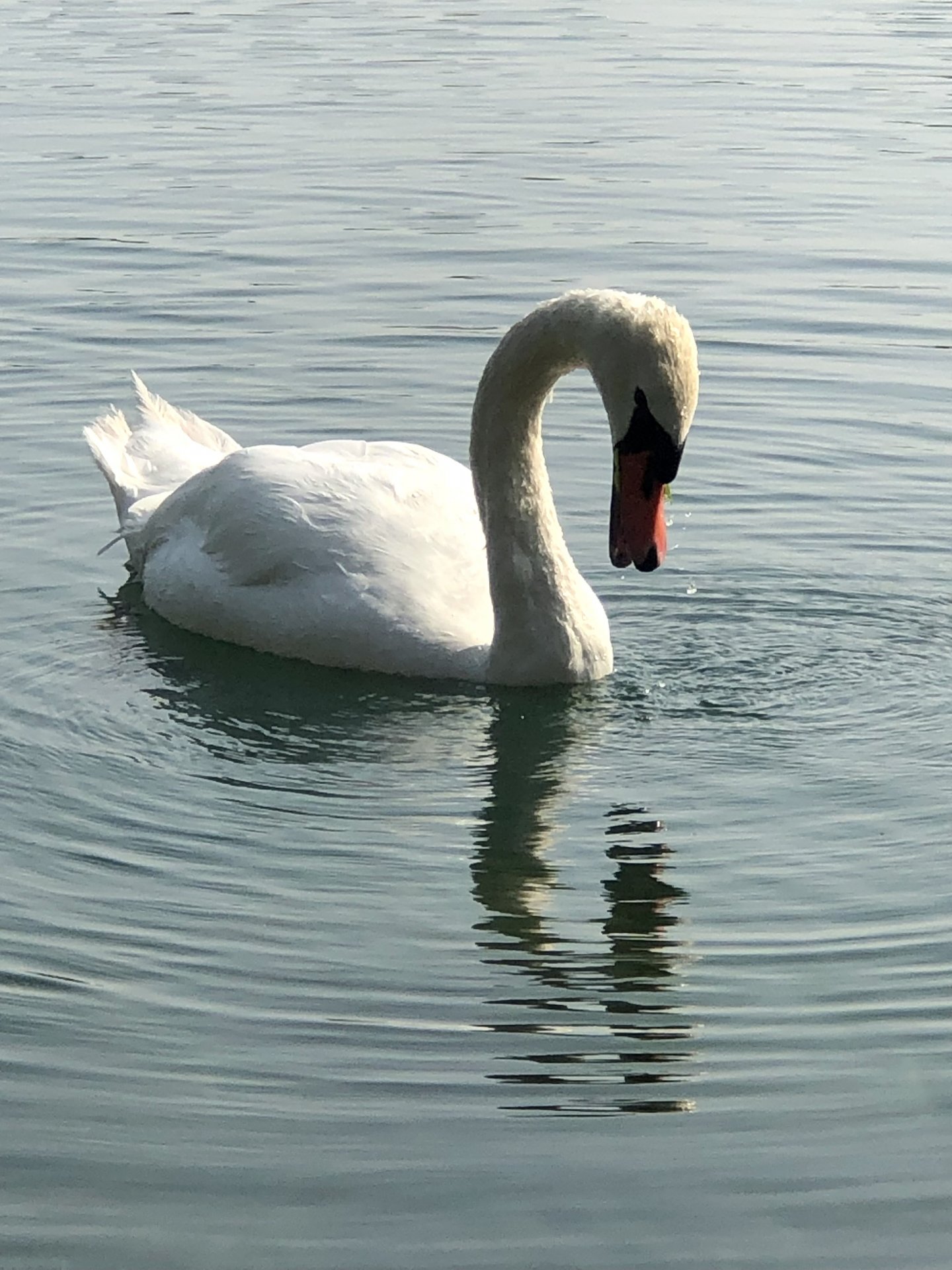 IMG_8577.jpeg
