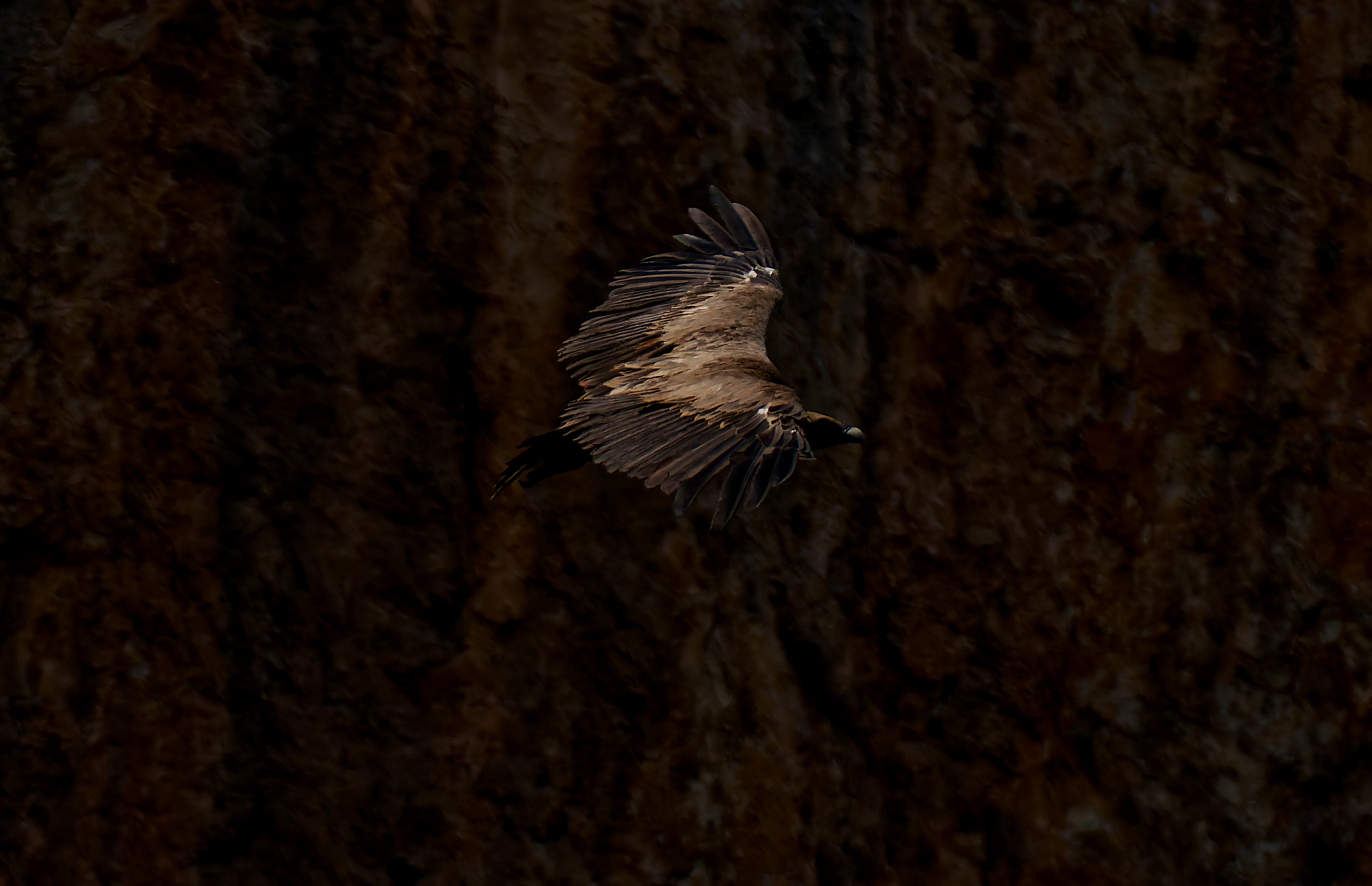 IMGP1900_DxO.jpg