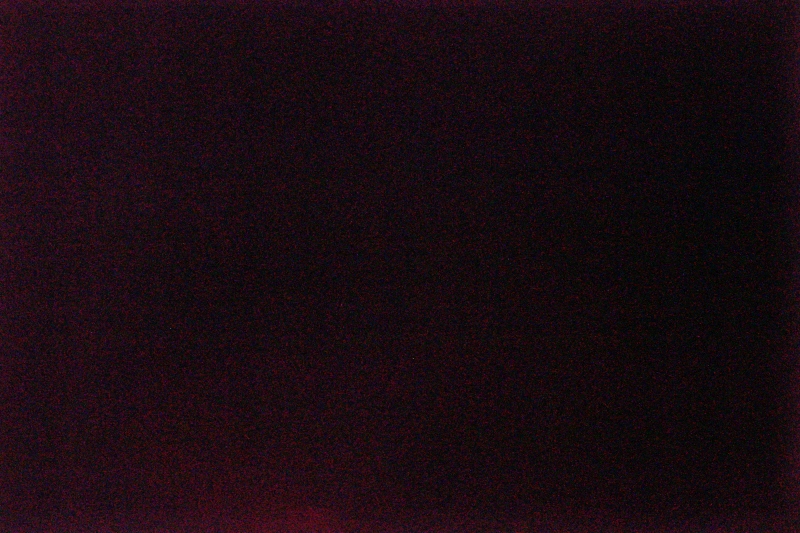 J01A3752_800.jpg