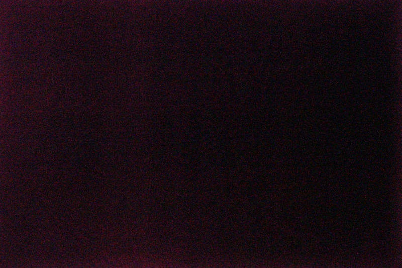 J01A3753_800.jpg