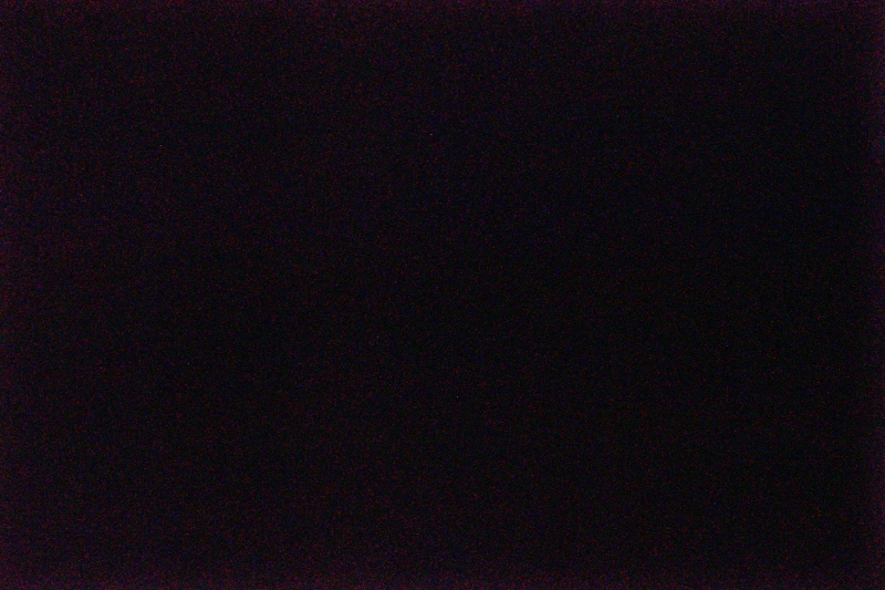 J01A3758_800.jpg