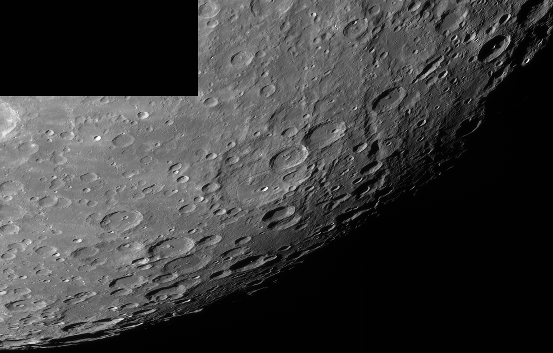 Janssen-und-Co_-08_07_2020.png