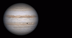 jupiter-Ani-111022kl.gif