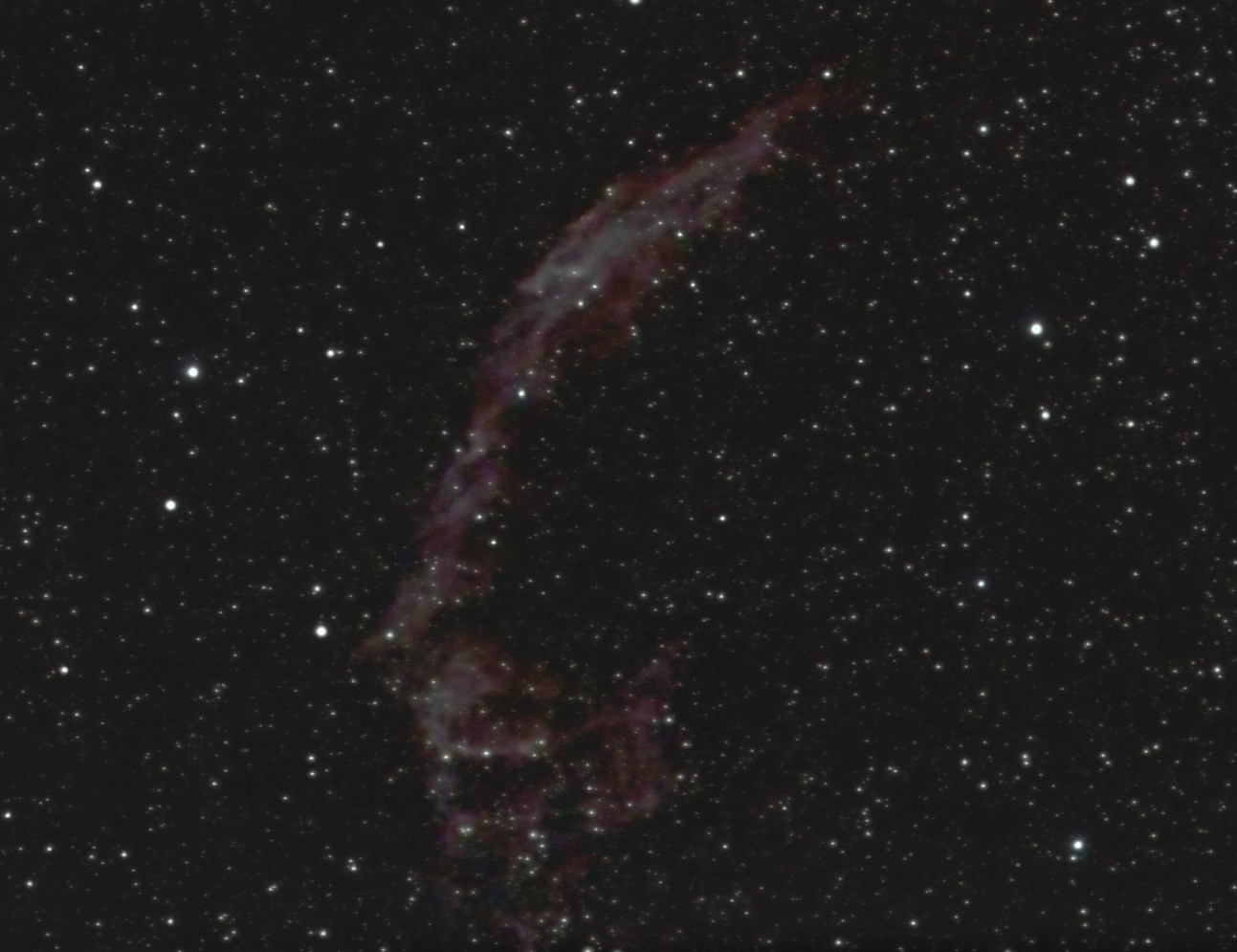 Knochenhand-230823-135mm-neuc.jpg