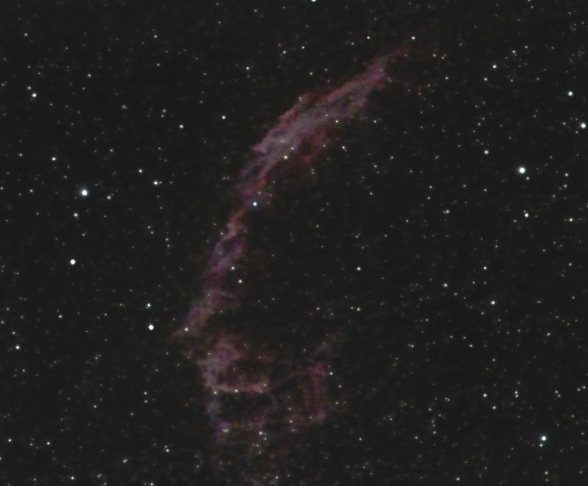 Knochenhand-230823-135mmc.jpg