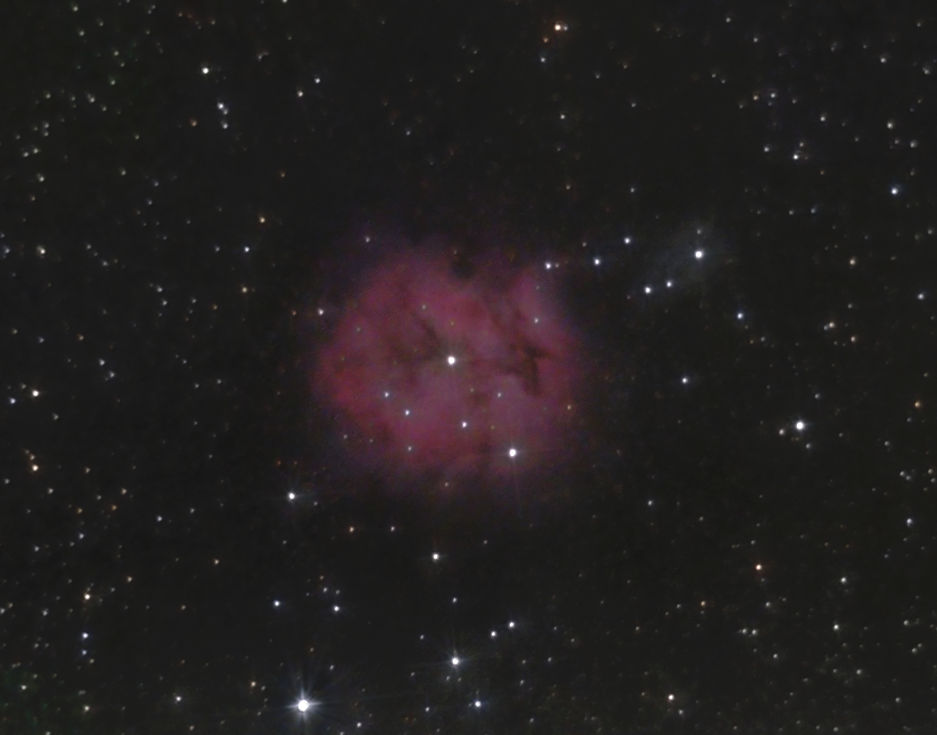 kokonnebel-300mm-070923c.jpg