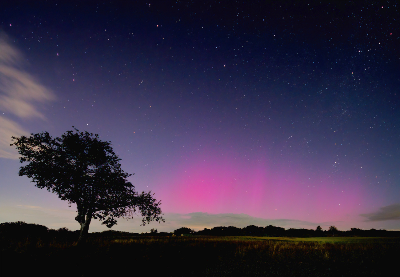 KP2P7591-denoise_F_AURORA_1300x900_KLEIN.jpg