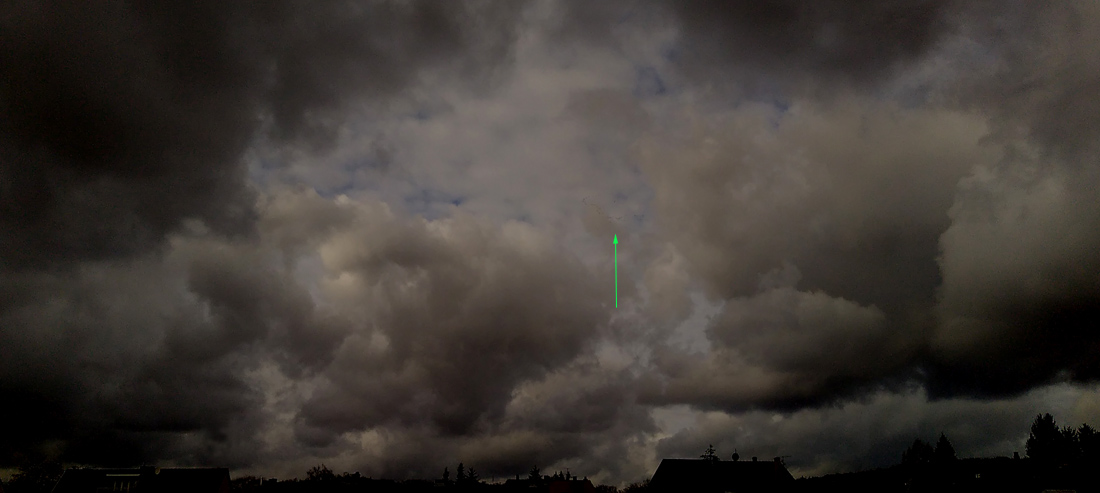 kraniche_221120.jpg