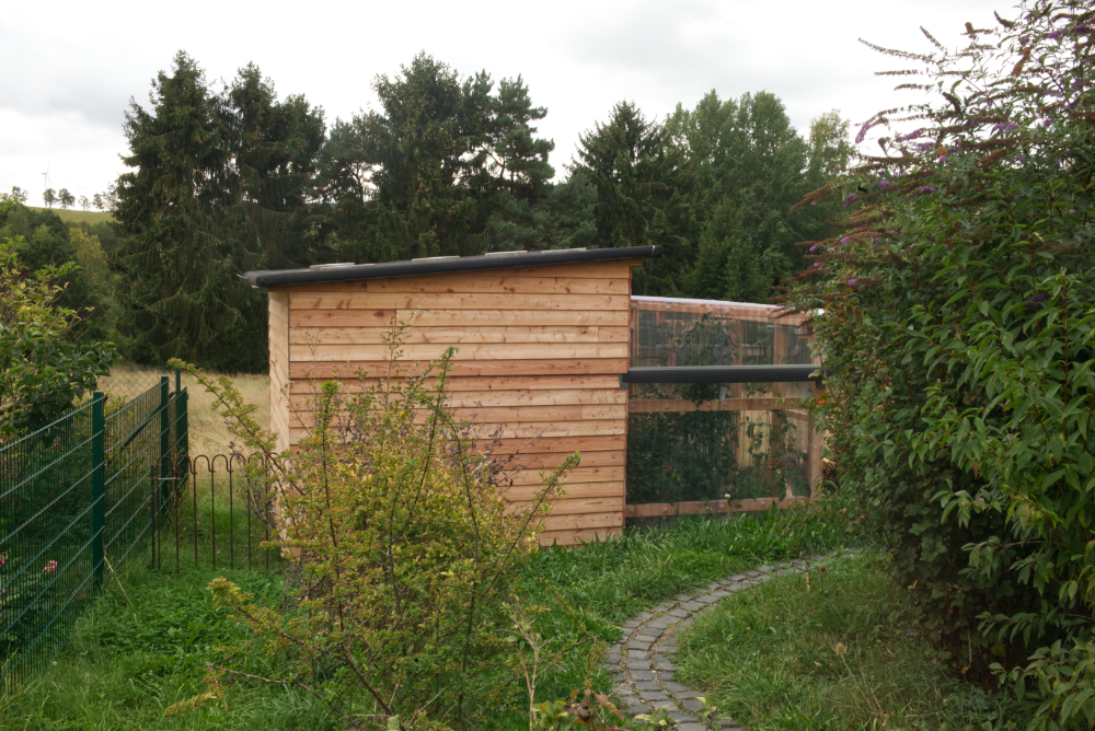 L1009730.jpg