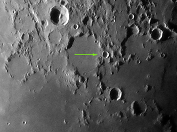 l61_moesting_a.jpg