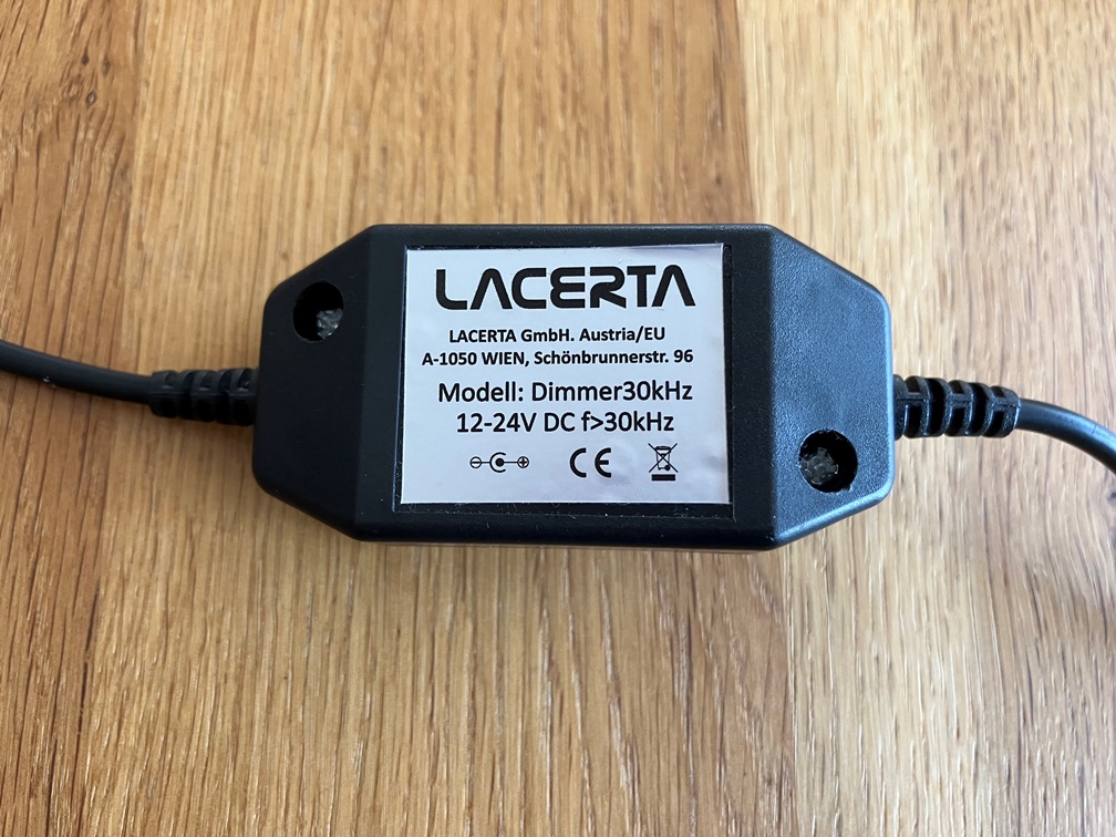 Lacerta (3).JPEG