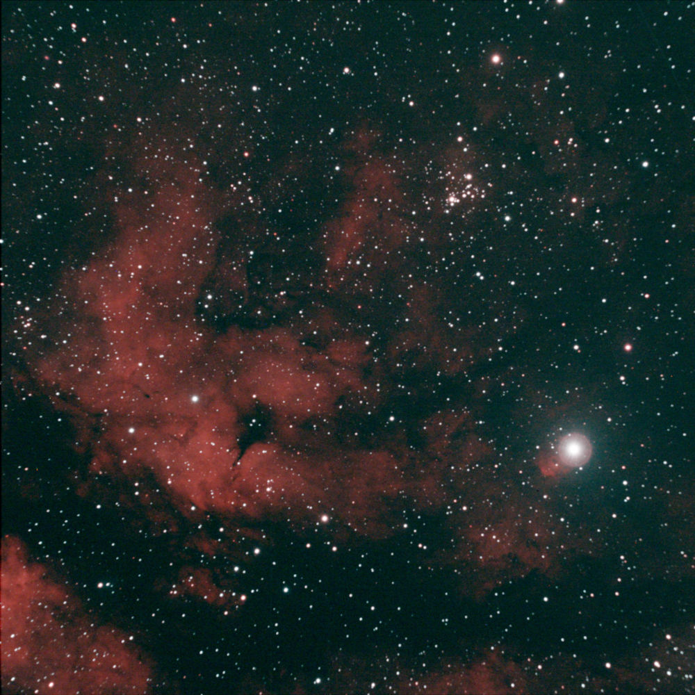 LBN249 NGC6910 SADR 29x60s Apo102f4 ASI533 leNh resized.jpg
