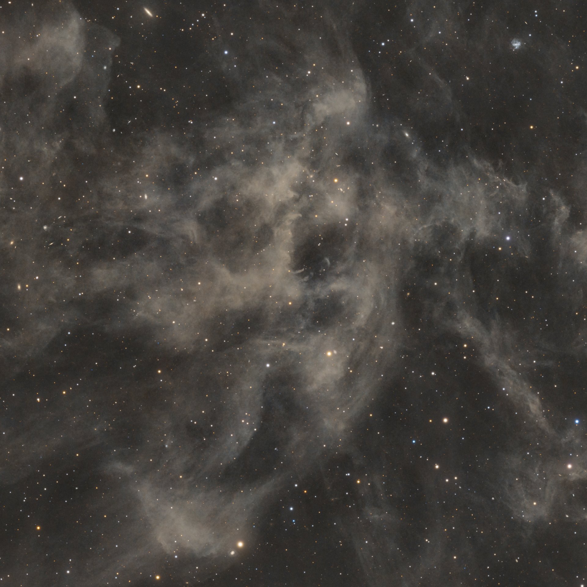 LBN691_Crop_01.jpg