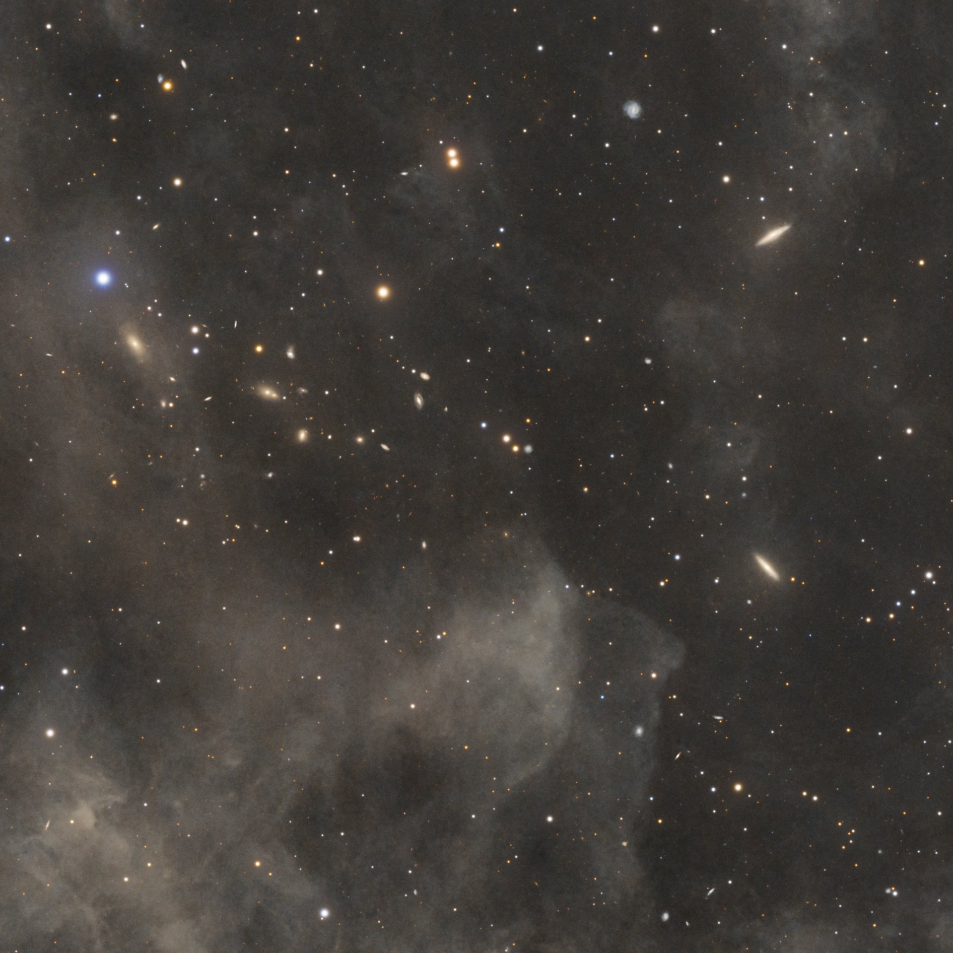LBN691_Crop_02.jpg