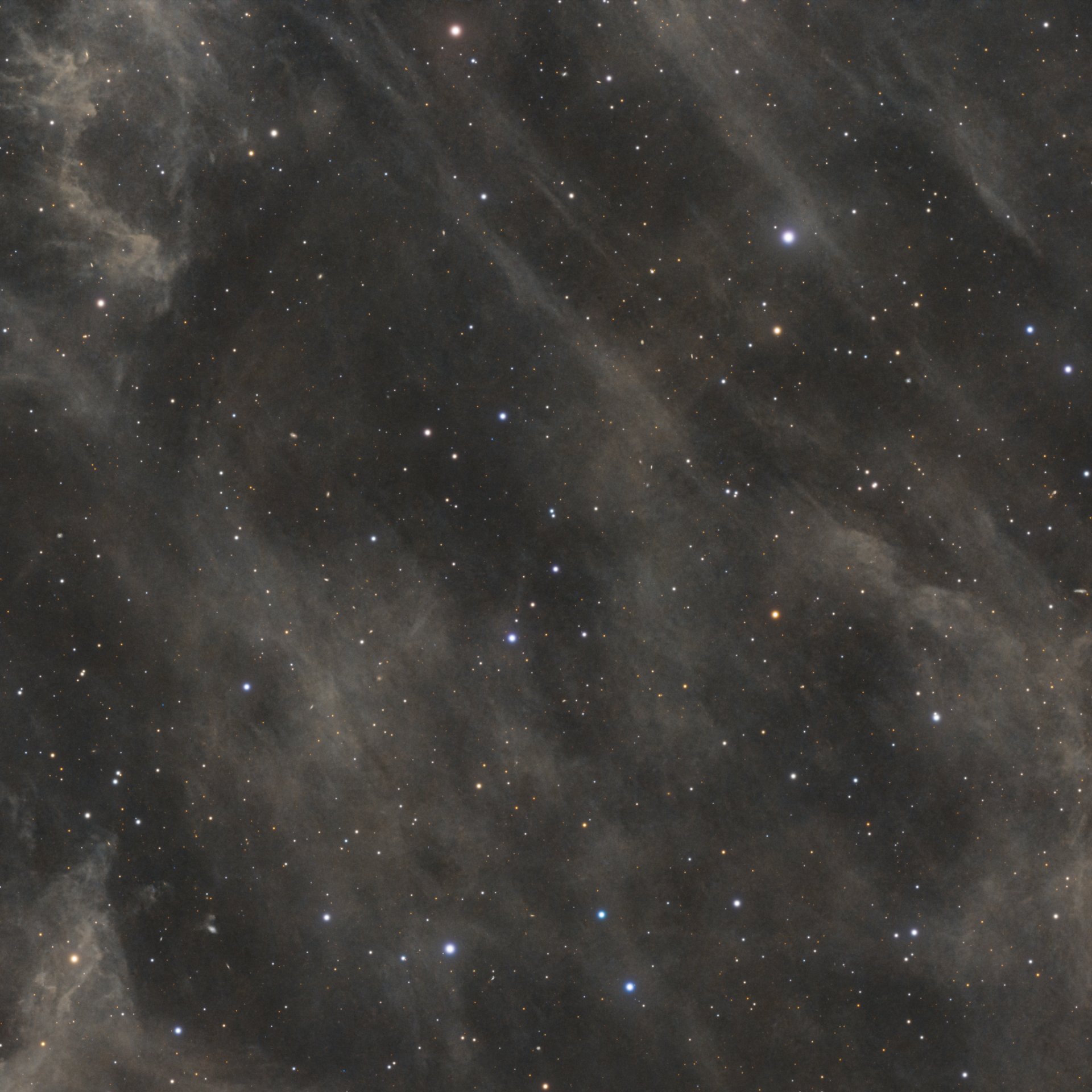 LBN691_Crop_03.jpg