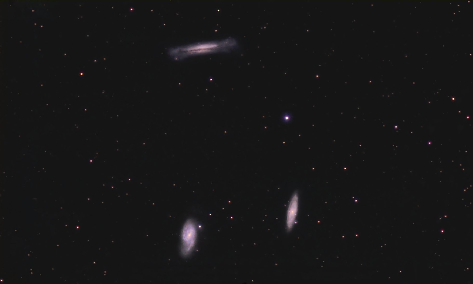 leo-220326-200mm.jpg
