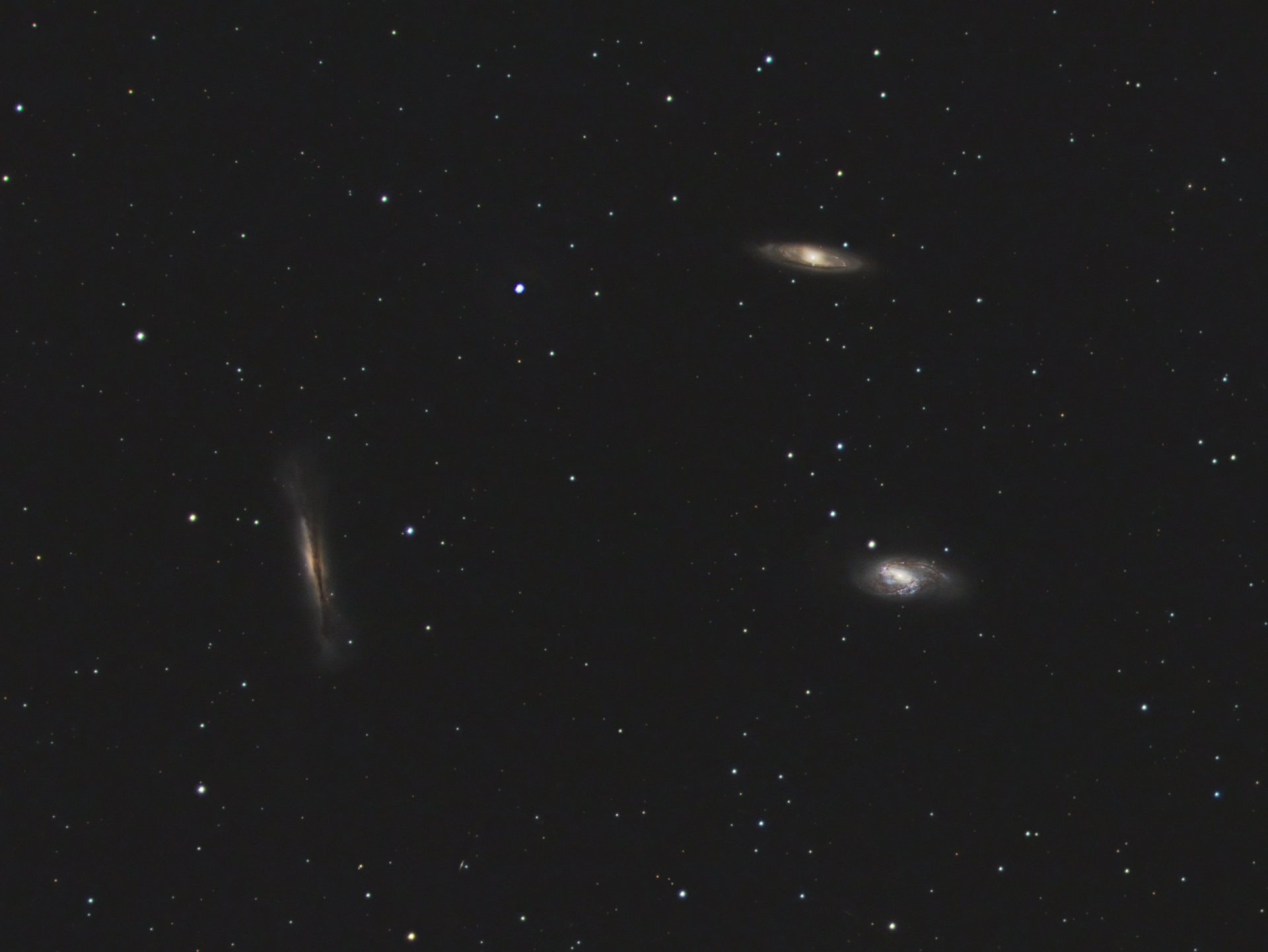 Leo Triplett.jpg