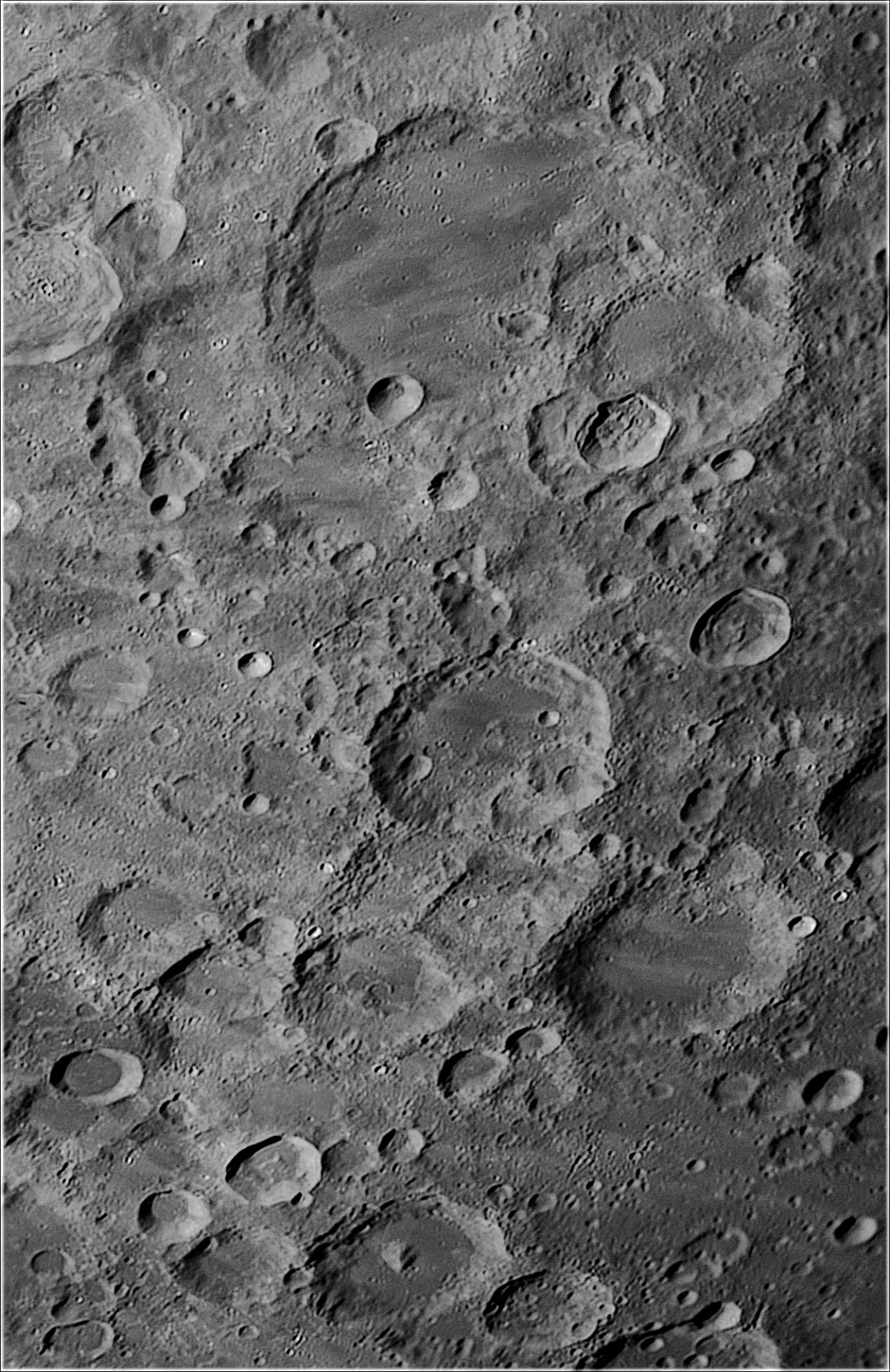 Licetus 22.11.2021.jpg