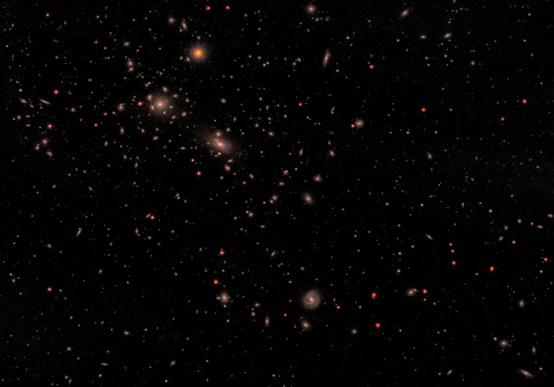 lrgb2_pm_resample_crop_contr.jpg