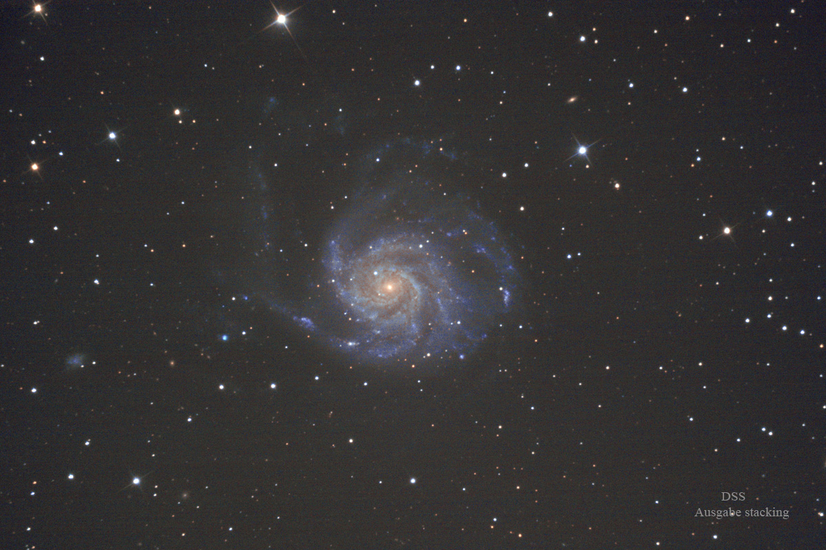 M-101_DSS_aut.jpg