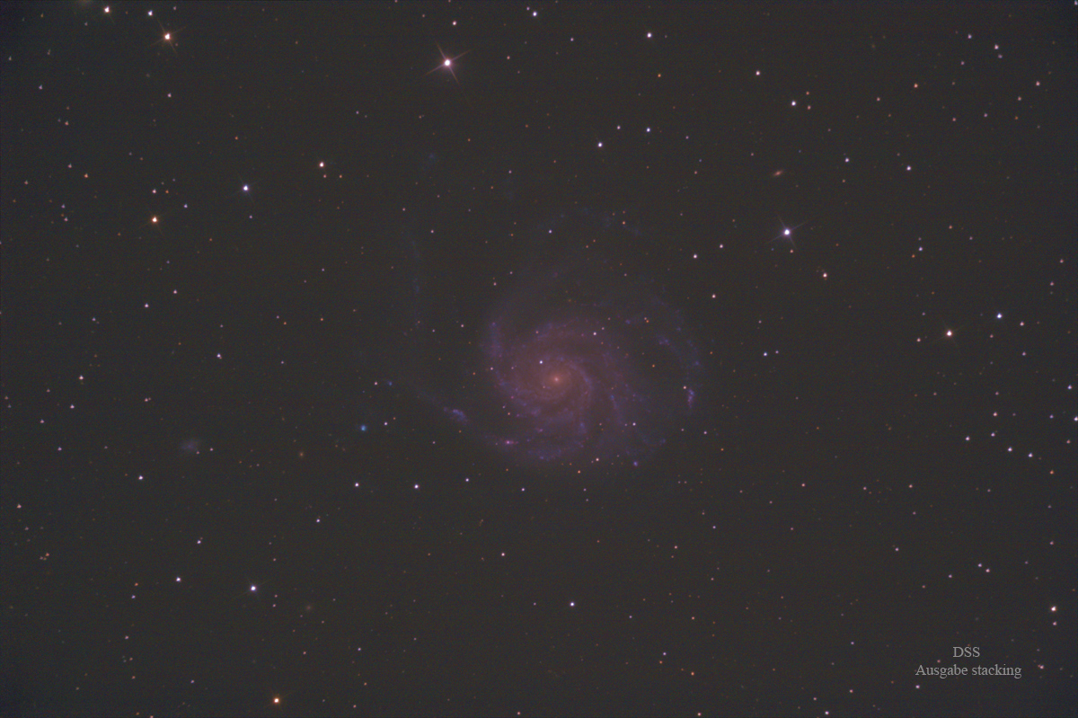 M-101_DSS_aut_.jpg
