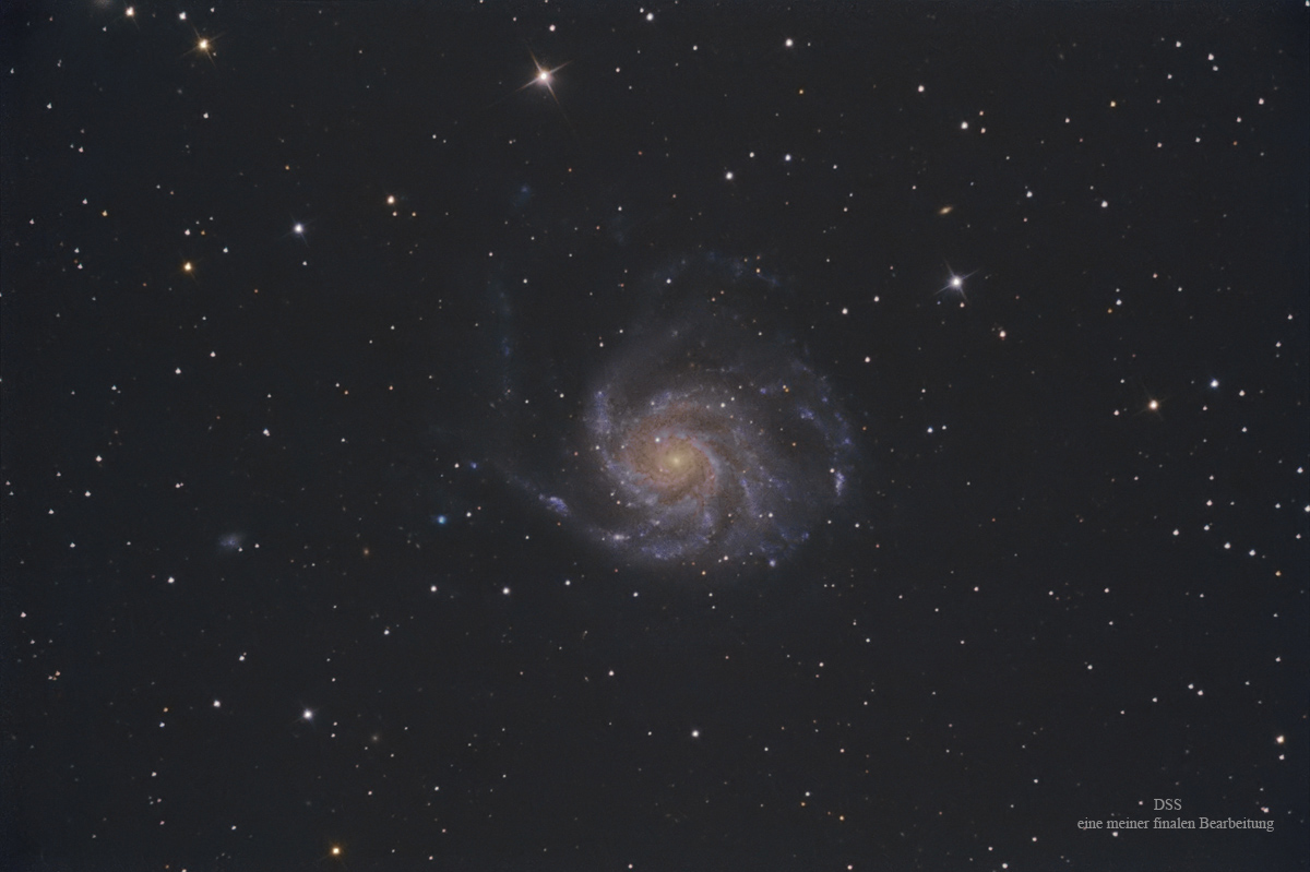 M-101_DSS_end_.jpg