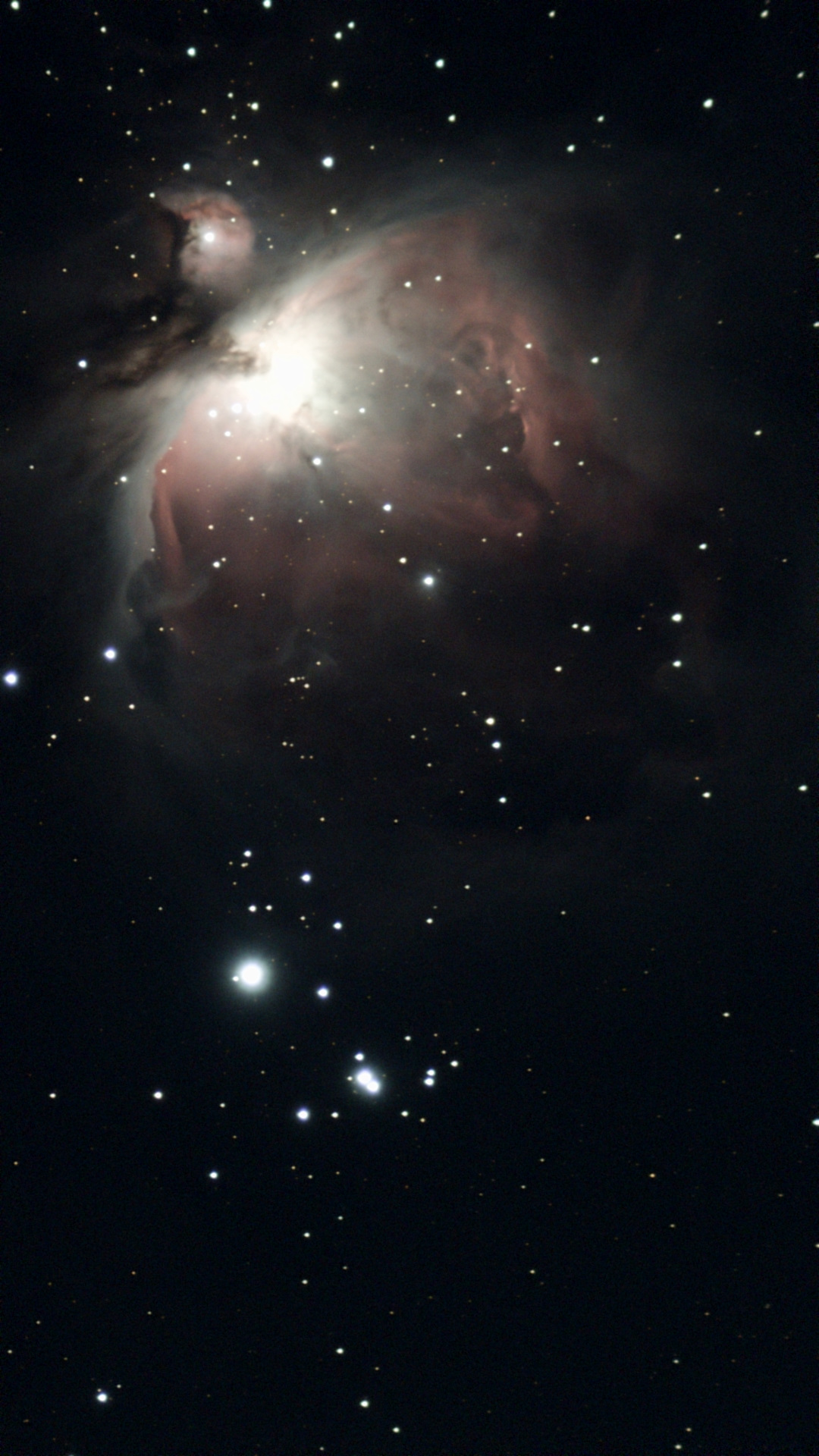 M 42 1728015846464-1.jpg