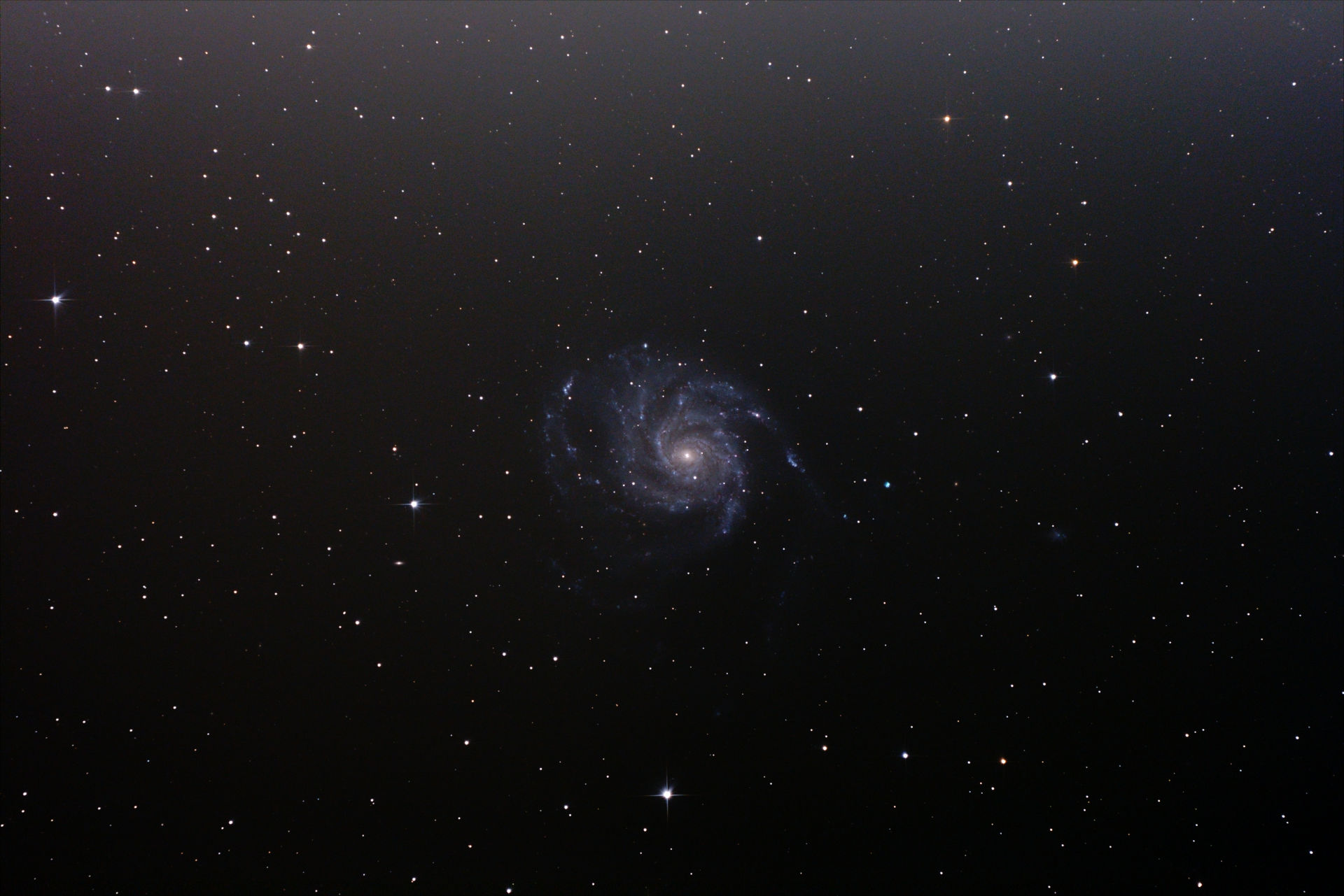 M101.jpeg