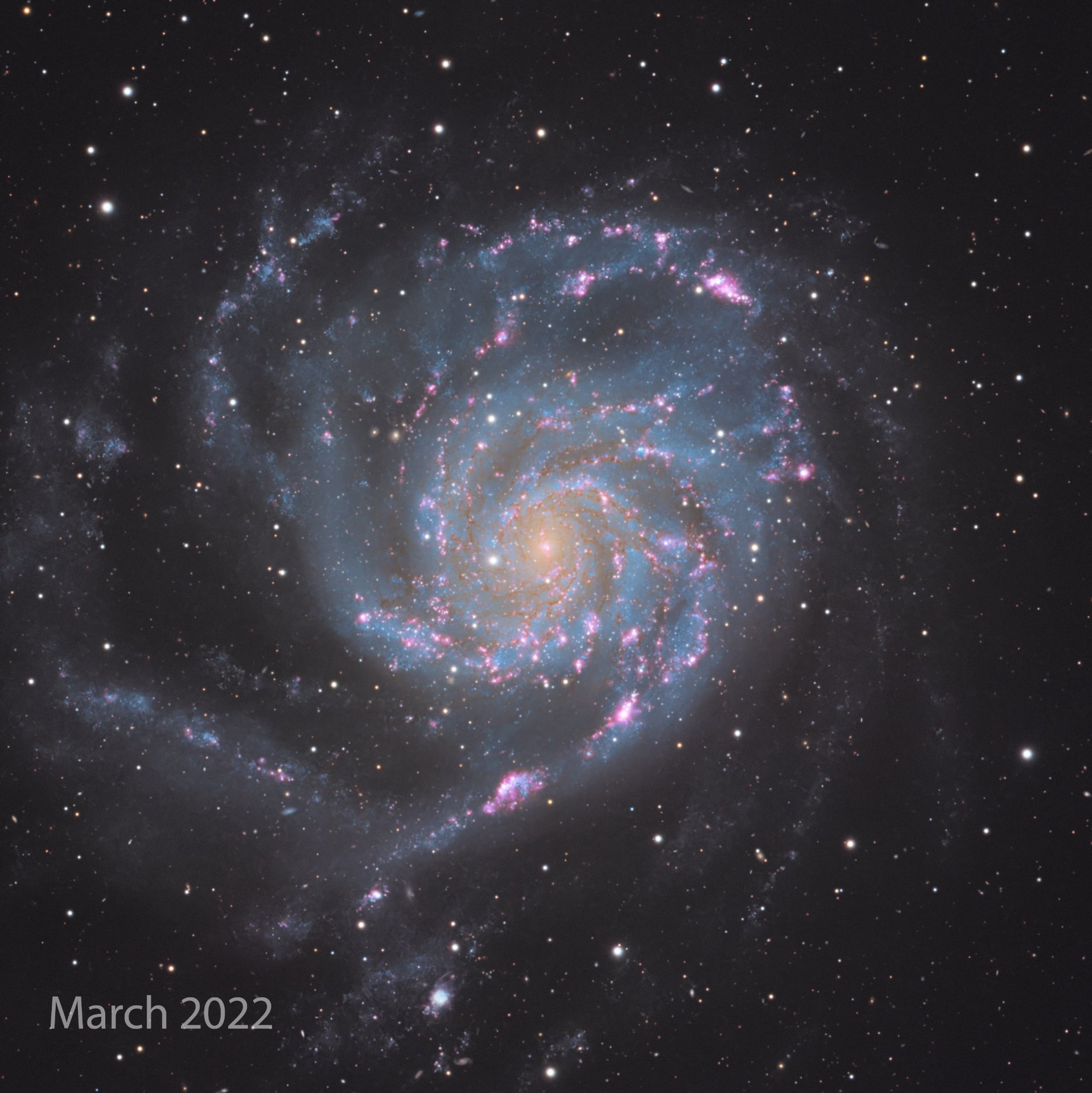 M101_SN 2023ixf_01.jpg