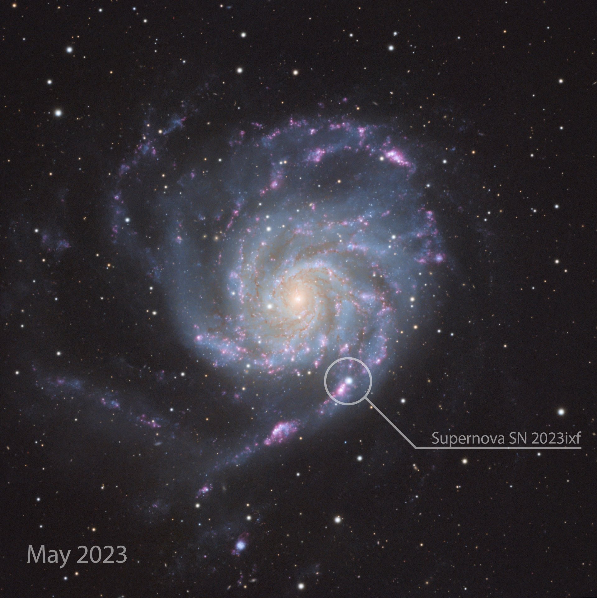 M101_SN 2023ixf_03.jpg