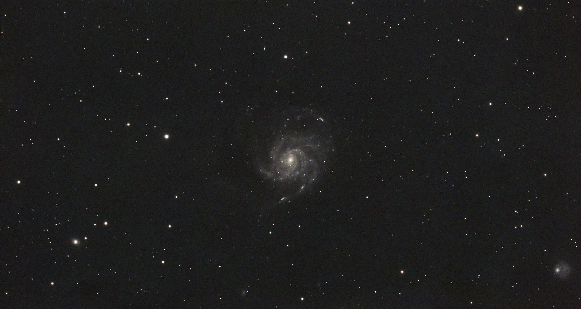 M101final01b.jpg