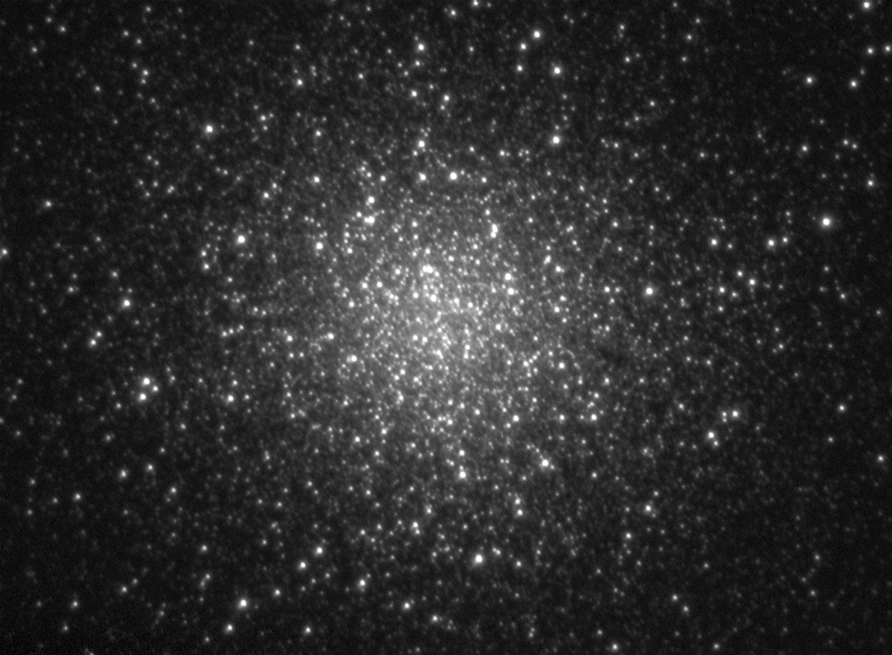 m13-100623g2_2swc.jpg