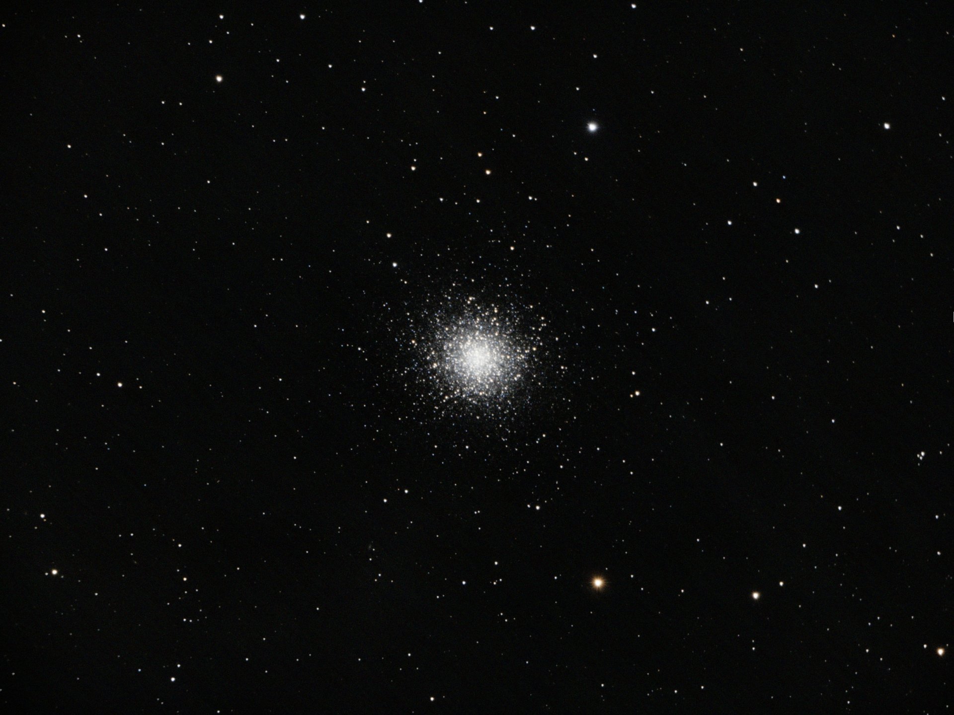 M13.jpg