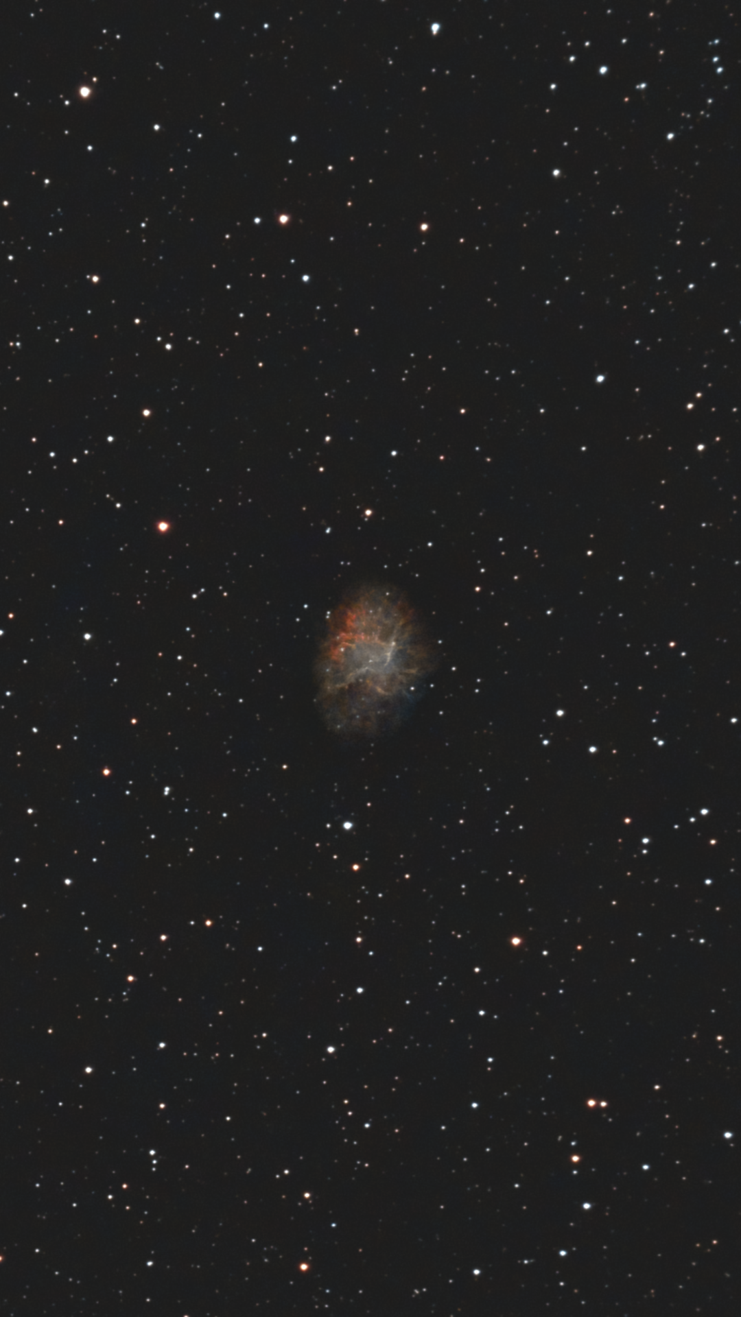M1_100124.png