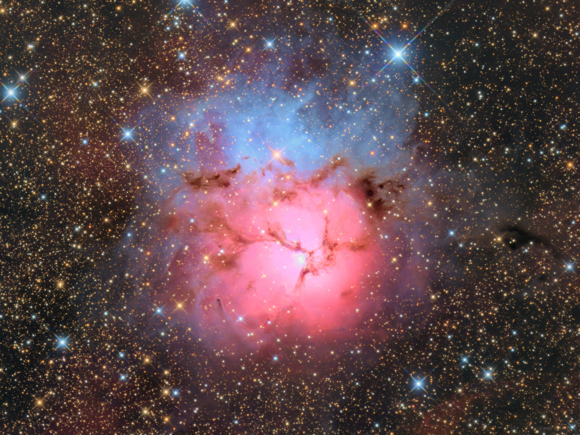 M20 1.jpg