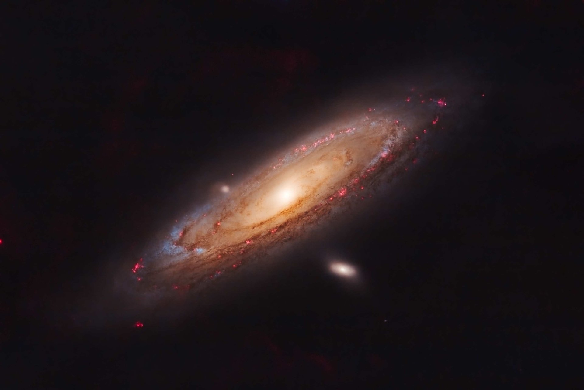 M31Starless.jpg